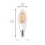 Philips Wiz Connected Tunable White Smart LED-Lampe