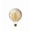 LED-Filament-Lampe 'SmartLED' 640 lm E27 Globe amber 12,5 x 18 cm