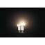 LED-Lampe 'Hue White' E27 9,5 W, 2er-Pack