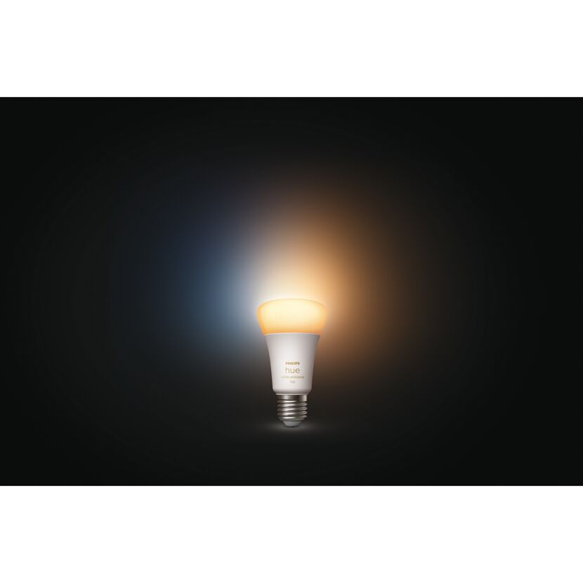 LED-Lampe 'Hue White Ambiance' E27 8 W