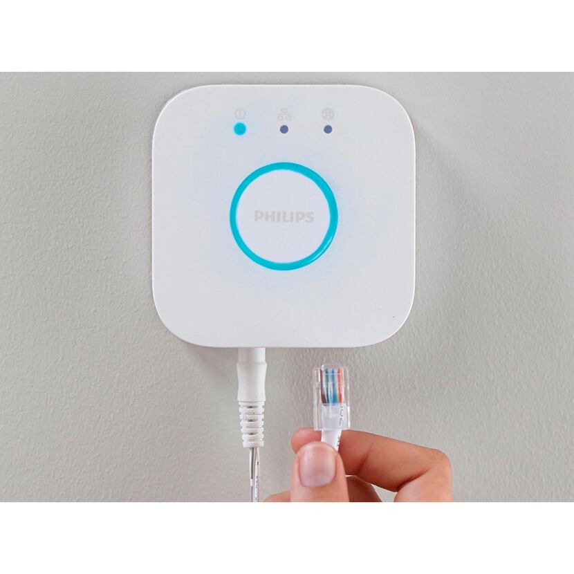 Person verbindet ein Netzwerkkabel mit einer Philips Hue Bridge.