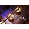LED-Leuchtmittel 'Hue White' in Hängelampe über Holztisch.