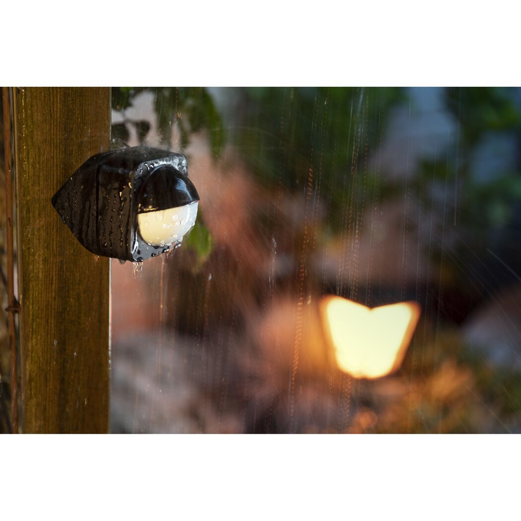 Bewegungsmelder im Regen