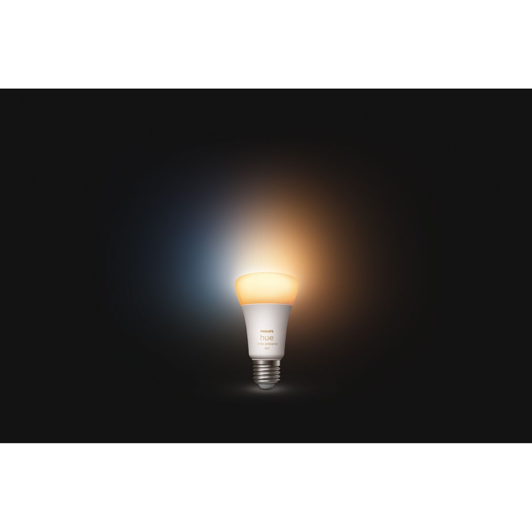 LED-Leuchtmittel 'Hue White Ambiance' dimmbar matt E27 13,5 W 1600 lm warmweiß bis tageslichtweiß