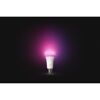 LED-Leuchtmittel 'Hue White & Color Ambiance' dimmbar matt E27 15 W 1600 lm warmweiß bis tageslichtweiß