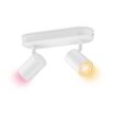 hauptbild