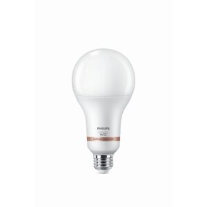 LED-Leuchtmittel 'Smart' matt 18,5 W 2452 lm