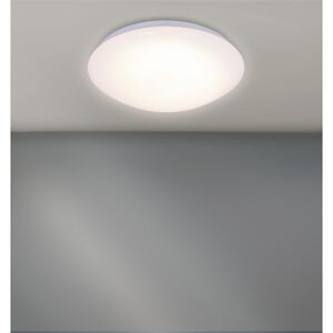 Lampen, Leuchten & Smart Home Licht online bestellen | toom Baumarkt
