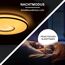 LED-Deckenleuchte 'Shining Silverstar' dimmbar 24 W 2000 lm warmweiß bis tageslichtweiß Ø 49 x 7,5 cm