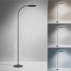 LED-Stehlampe 'Kelly' dimmbar 7 W 1180 lm warmweiß bis tageslichtweiß 63 x 175 x 63 cm