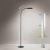 LED-Stehlampe 'Kelly' dimmbar 7 W 1180 lm warmweiß bis tageslichtweiß 63 x 175 x 63 cm