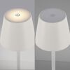 LED-Tischlampe 'Euria' dimmbar 3 W 320 lm warmweiß Ø 11 x 37 cm