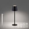 LED-Tischlampe 'Euria' dimmbar 3 W 320 lm warmweiß Ø 11 x 37 cm