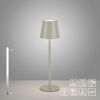 LED-Tischlampe 'Euria' dimmbar 3 W 320 lm warmweiß Ø 11 x 37 cm