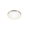 Runde LED-Deckenleuchte mit silbernem Rand