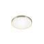 Runde LED-Deckenleuchte mit silbernem Rand
