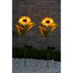 hauptbild