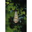 Solar-Gartenleuchte transparent Ø 7,5 cm