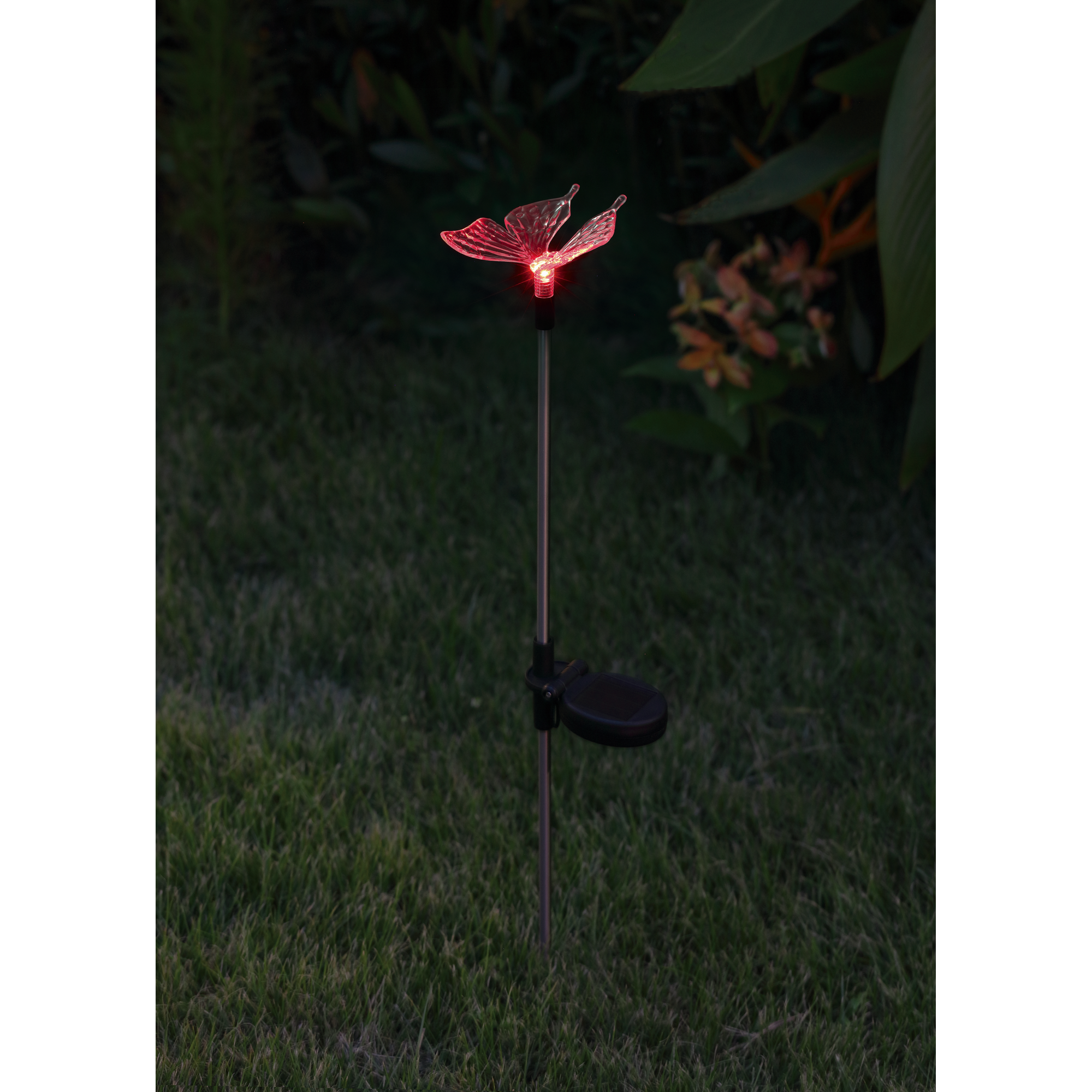 LED-Solarspieß 'Schmetterling' mit RGB 66 cm + product picture