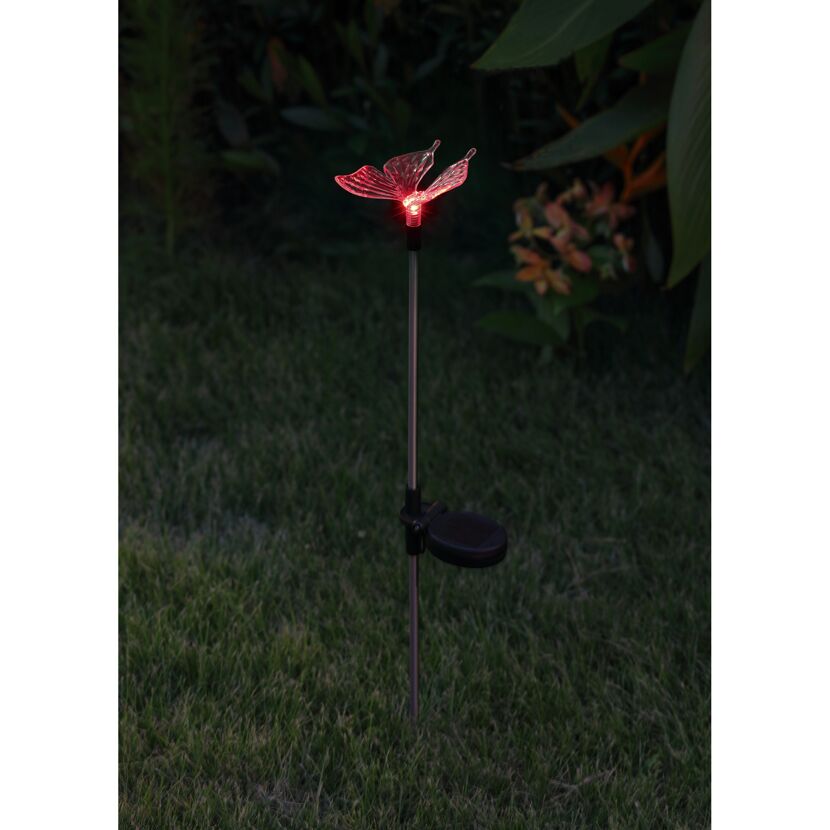Solar-Schmetterling