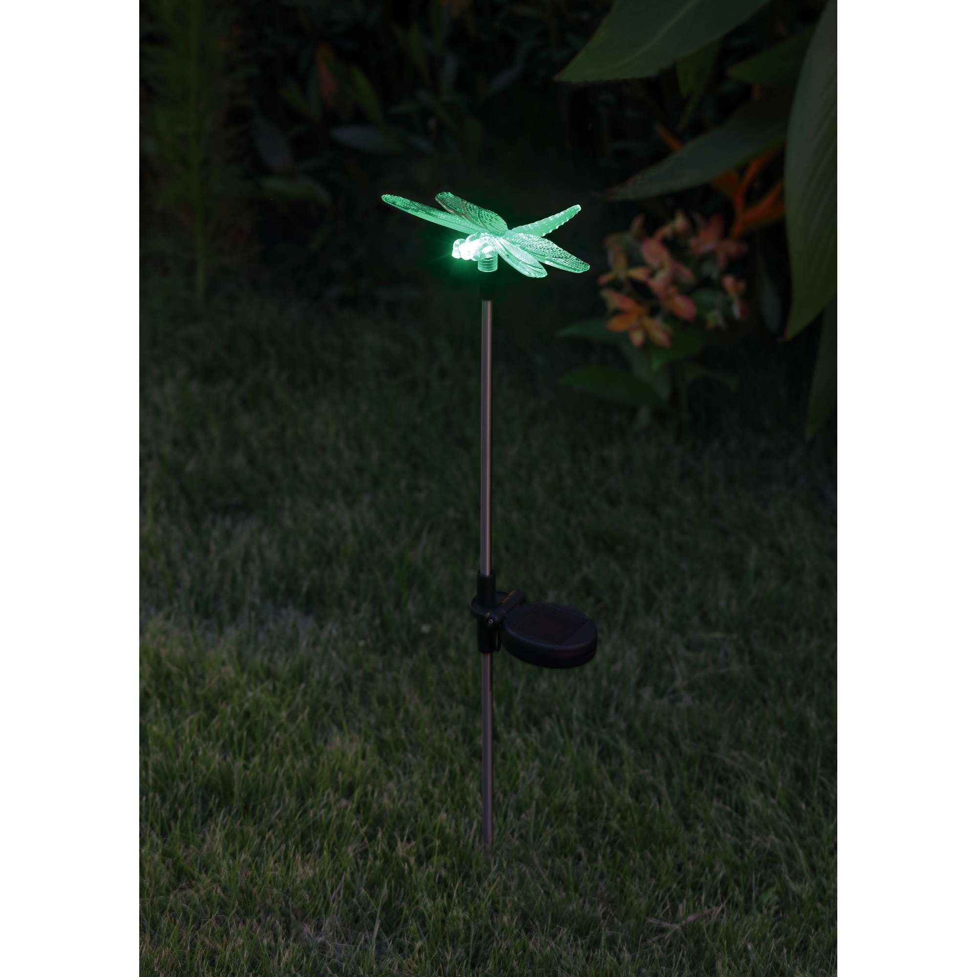 LED-Solarspieß 'Libelle' mit RGB 66 cm + product picture