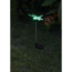 LED-Solarspieß 'Libelle' mit RGB 66 cm