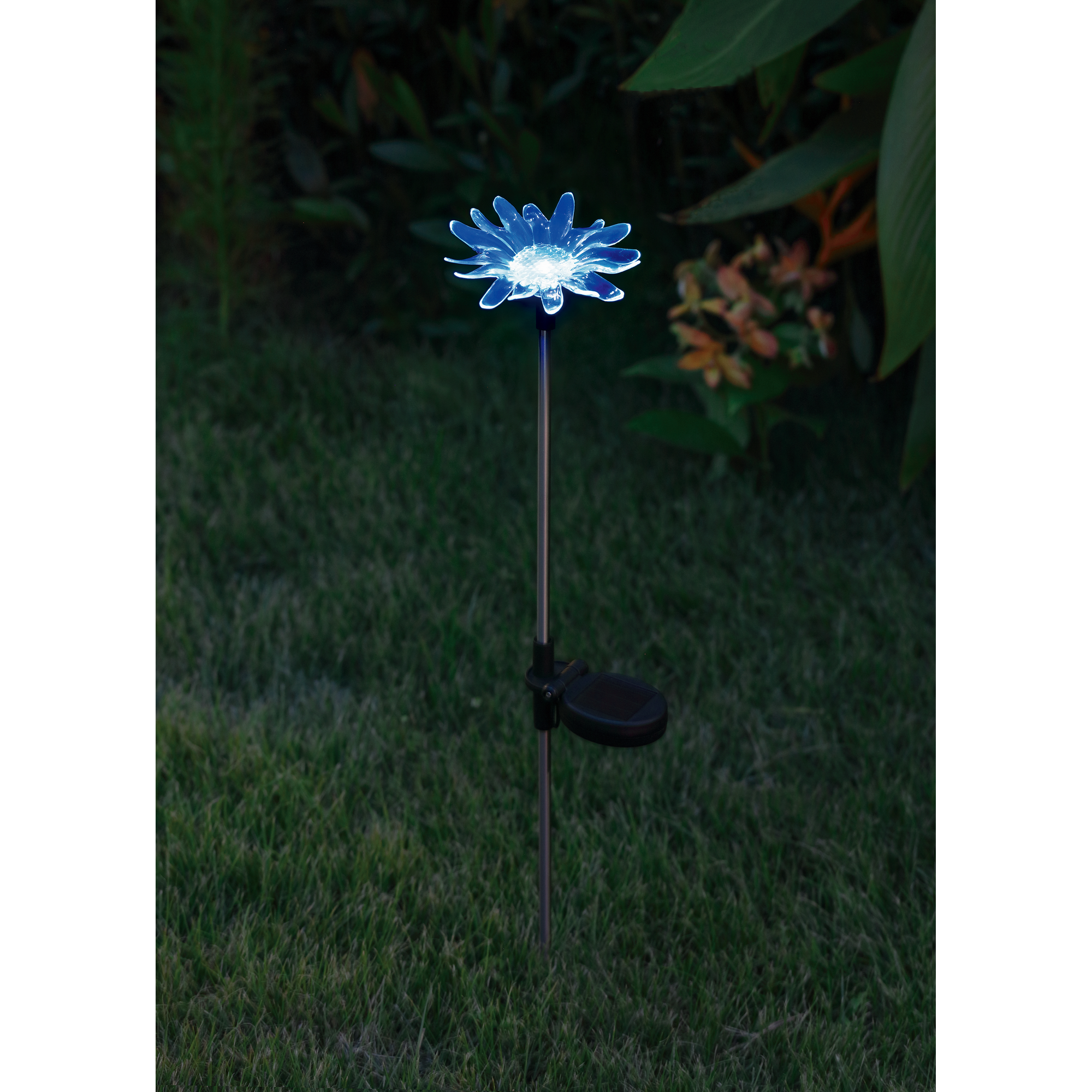 LED-Solarspieß 'Schmetterling' mit RGB 66 cm + product picture