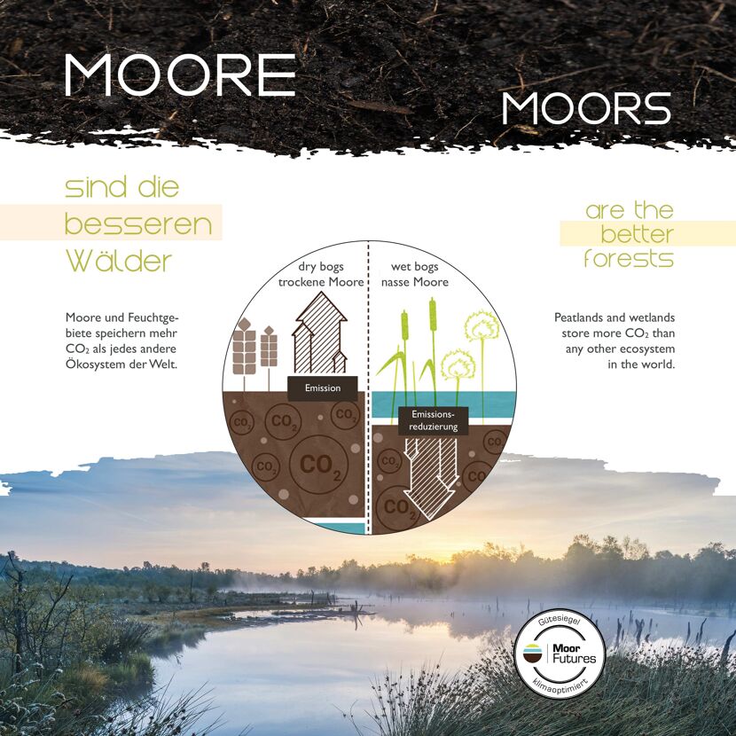 Deckenleuchte 'Green Widow' holzfarben 37 x 59,5 x 37 cm