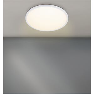LED-Deckenleuchte 'Zoe' weiß 19,5 W Ø 42 x 2,8 cm