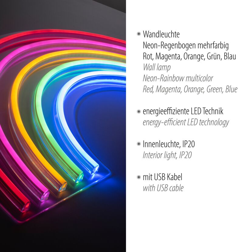 LED-Neon-Bild 'Rainbow' mehrfarbig 63 x 32 x 1,5 cm