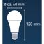 LED Lampe E27 mit Maßen