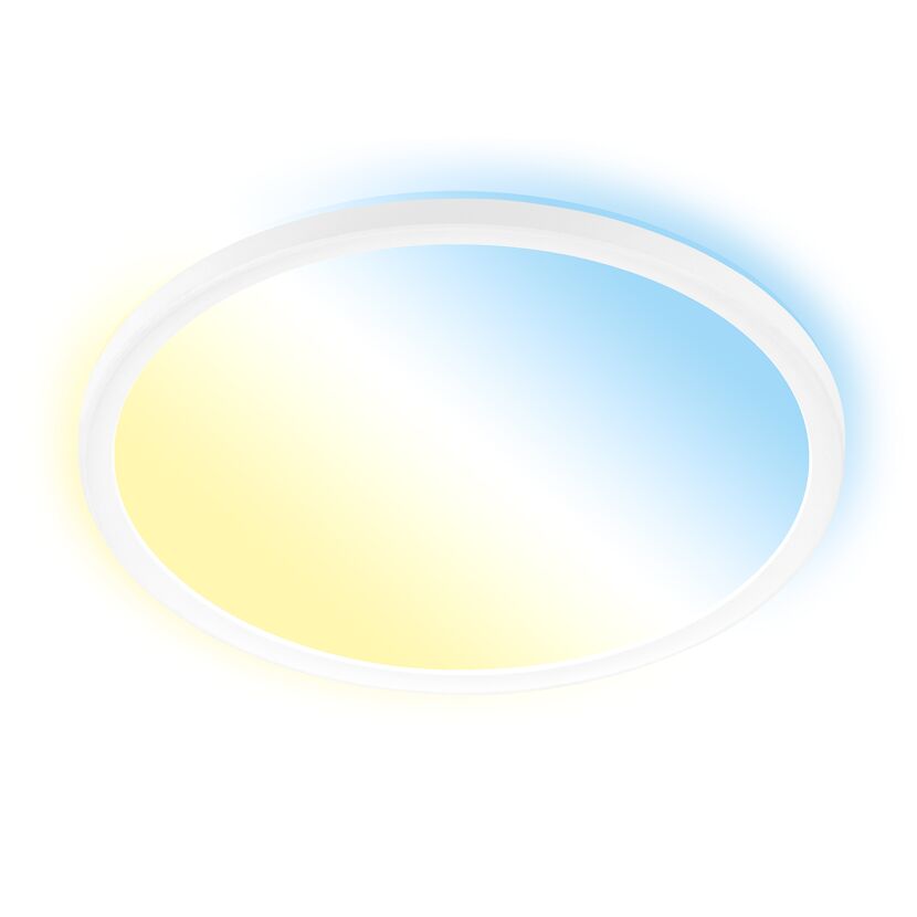 LED-Panelleuchte 'Slim' Ø 29 x 3 cm dimmbar 18W 2400 lm weiß