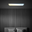 LED-Panelleuchte 'Tava' 20 x 98 cm dimmbar 36W 4800 lm weiß matt