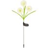 Solarleuchten mit Allium-Blüten