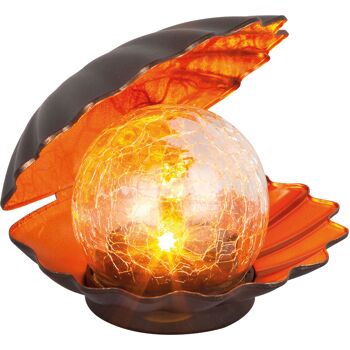 Solar Muschel Dekolicht