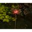 Solarleuchtblume in rot