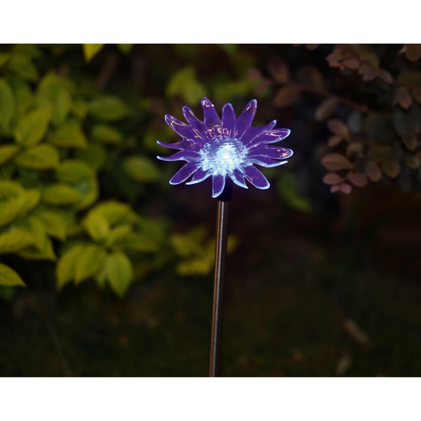 Violette Solarleuchte in Blütenform