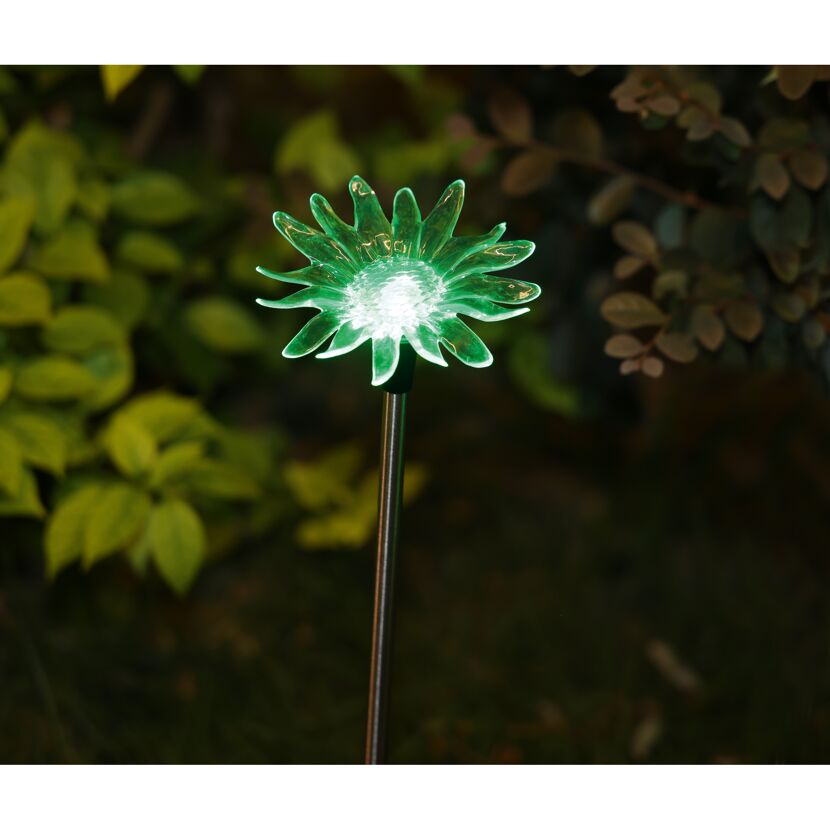 Grüne Solar-Blume