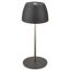 Akku-LED-Tischleuchte 'Serina Mini' 20 cm 2700K 2,5W 150lm dimmbar anthrazit