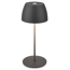 Akku-LED-Tischleuchte 'Serina Mini' 20 cm 2700K 2,5W 150lm dimmbar anthrazit