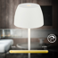 Akku-LED-Tischleuchte 'Serina Mini' 20 cm 2700K 2,5W 150lm dimmbar weiß matt