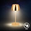 LED-Tischlampe 'Serina Mini' dimmbar 2,5 W 150 lm warmweiß Ø 8 x 20 cm