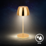 Akku-LED-Tischleuchte 'Serina Mini' 20 cm 2700K 2,5W 150lm dimmbar goldfarbig