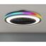 LED-Deckenleuchte 'Palmero' mit Ventilator Ø 47 cm 40 W
