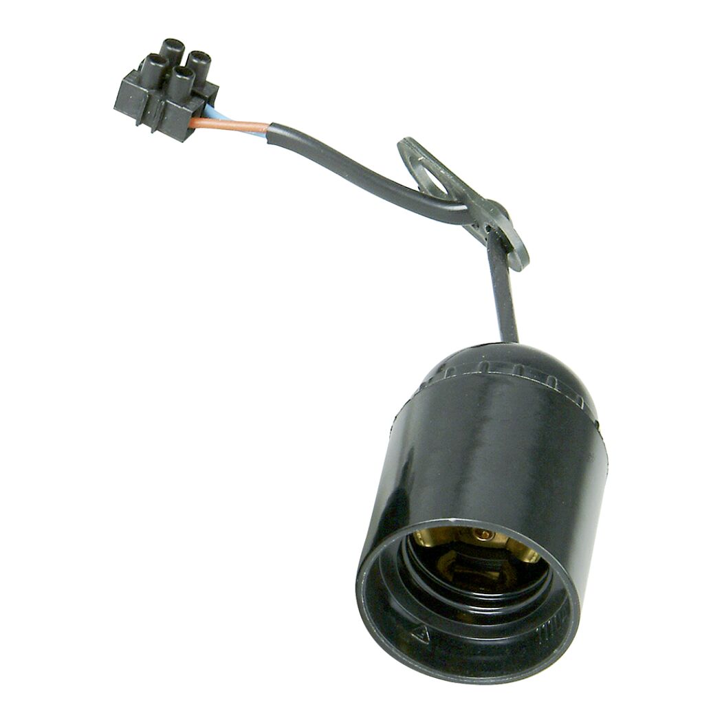 Schwarze Renovierfassung E27