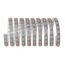 LED-Streifen MaxLED Basis 3 m RGB 40 W