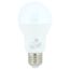 LED-Lampe b1