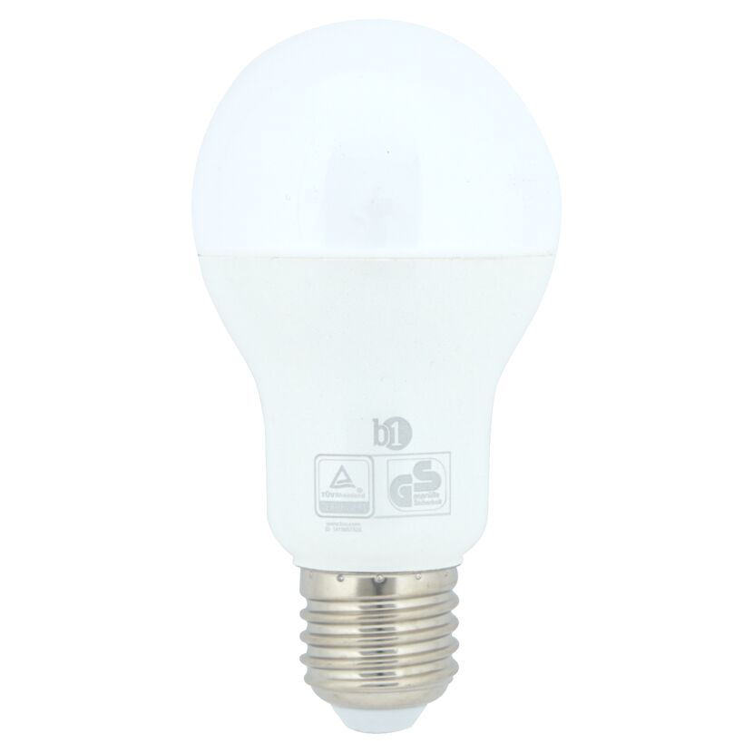 LED-Lampe b1