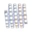 LED-Basisset 'MaxLED' 1,5 m 10 W 750 lm warmweiß-kaltweiß, silber