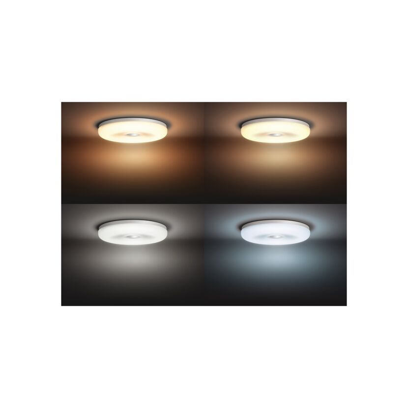 Hue LED-Deckenleuchte 'Struana' 3306431P7 2400 lm weiß inkl. Dimmschalter